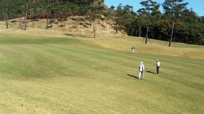 20151030_124710.jpg
